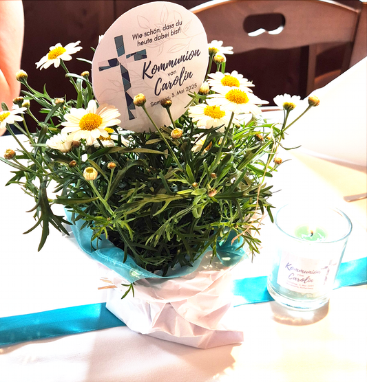 Jetzt neu bei Mama Drea - handgemachte Kerzen aus hochwertigem Sojawachs